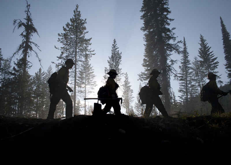 defenders, country, tree, outside, beside, devastation, walking, people, silhouettes, outdoors, two people, group of people, winter, adult, standing, lifestyles