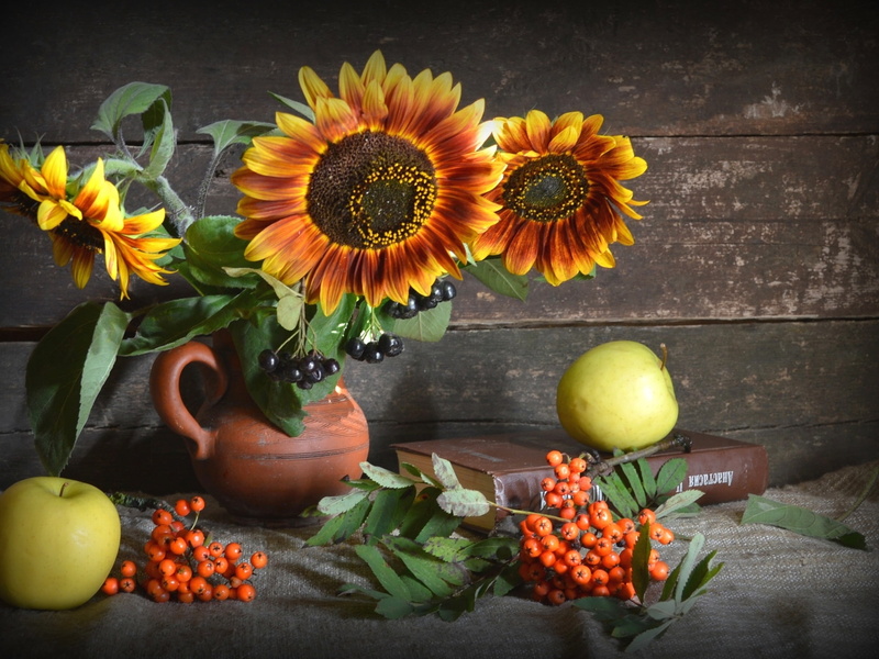 Berries, Apples, three, Green, Sunflowers, vase, clay, 1080P, brown