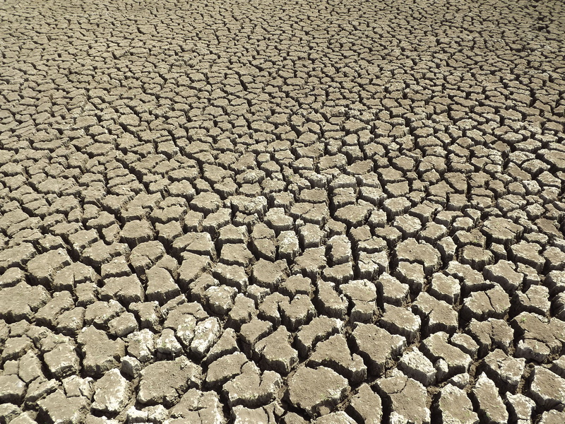 no people, pattern, climate, backcountry, mud, arid climate, outdoors, cracked earth, land, backgrounds, extreme terrain, dry, drought, barren, nature