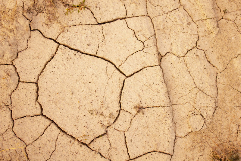 dry, environmental issues, land, environment, drought, soil, nature, dirt, textured, climate, no people, scenics - nature, grass, pattern, arid climate