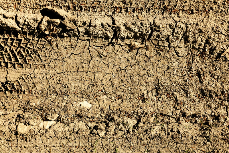 field, nature, scenics - nature, traces, lane, sunlight, textured, no people, high angle view, arid climate, earth, climate, outdoors, day, full frame