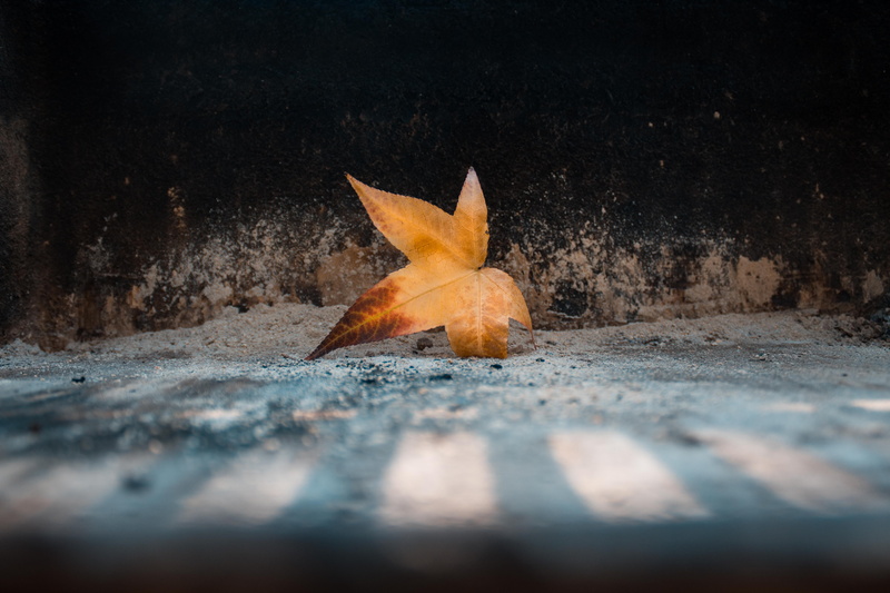 falling, road, maple leaf, city, fall, auntumn, land, outdoors, no people, autumn, 5K, change, shadow, focus, sand, photography, transportation, object