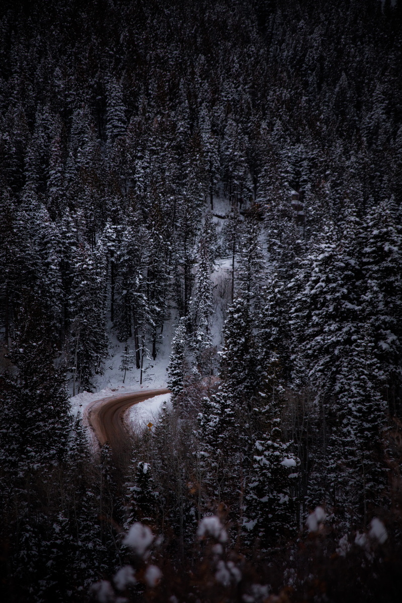 no people, plant, patrick hendry, beauty in nature, tranquil scene, eye, aerial, coniferous tree, forest, snow, road, 8K, tree, surrounded, outdoors, trees