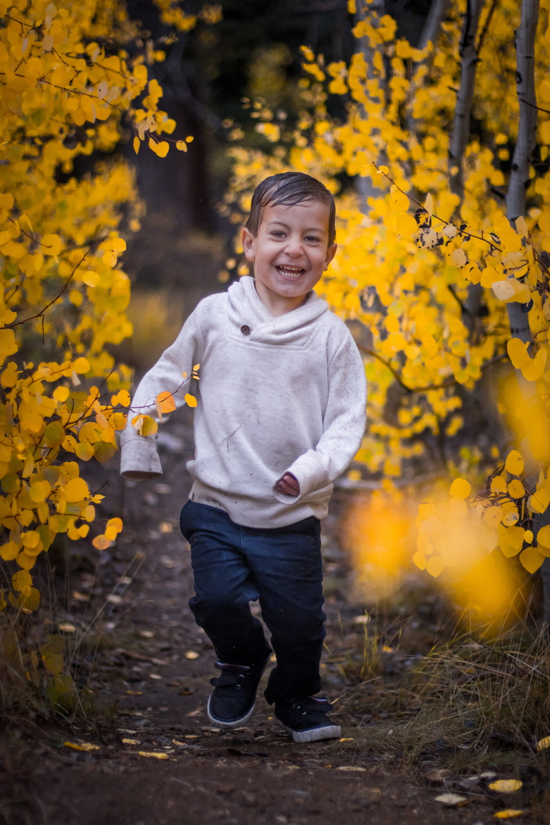 patrick hendry, leaf, innocence, standing, males, plant, portrait, looking at camera, apparel, boy, face, dirt, child, blue, pathway, clothing, running