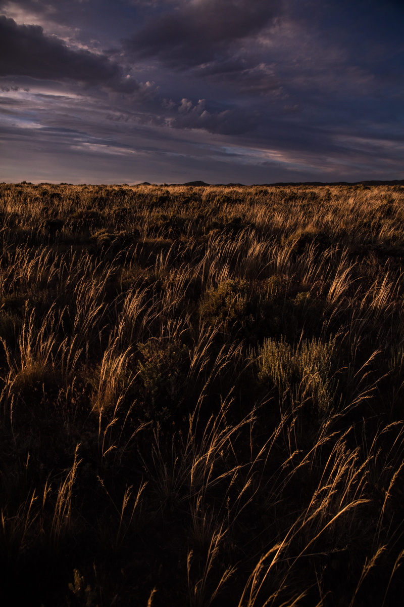 lightening, crop, tranquil scene, horizon over land, yellow, sunset, outdoors, no people, grass, plant, field, landscape, tranquility, purple, land, sky