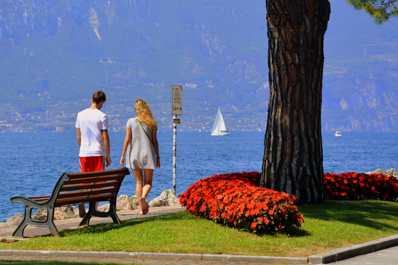 bench, tree trunk, outdoors, couple - relationship, 4K, sea, flowers, couple, grass, positive emotion, lake, women, two people, full length, seat, flower bed