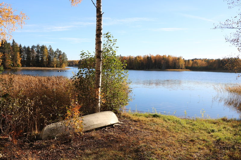 land, boat, scenics - nature, cloud - sky, a bed of reeds, nature, birch, forest, grass, tranquility, tree, plant, autumn, landscape, growth, beauty in nature
