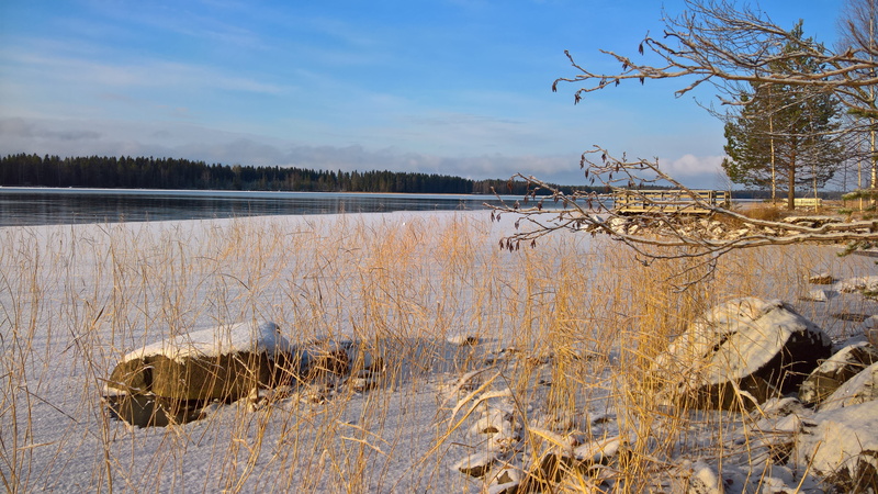 5K, swamp, sky, scenic, tranquility, beauty in nature, scenics - nature, no people, beach, a bed of reeds, day, winter, finnish, lake in finland, water