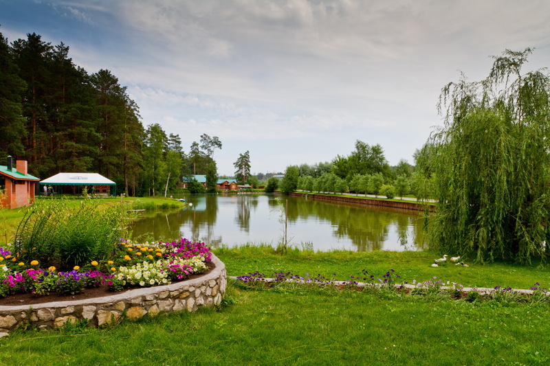 tranquility, scenics - nature, grass, clouds, green color, tranquil scene, russian hunt, landscape, trees, floating on water, flowering plant, outdoors