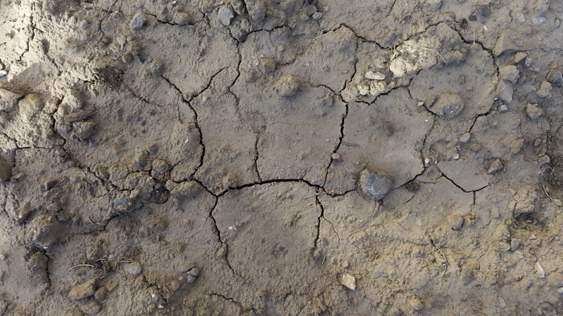 no people, land, dirt, physical geography, pattern, Ground, dirty, drought, grungy, close-up, dry, climate, high angle view, textured, environment, design