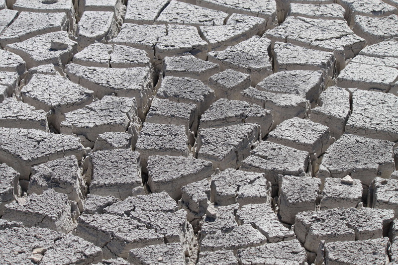 outdoors, 4K, wall, wall - building feature, close-up, concrete, pattern, abundance, large group of objects, dryed out, nature, full frame, backgrounds