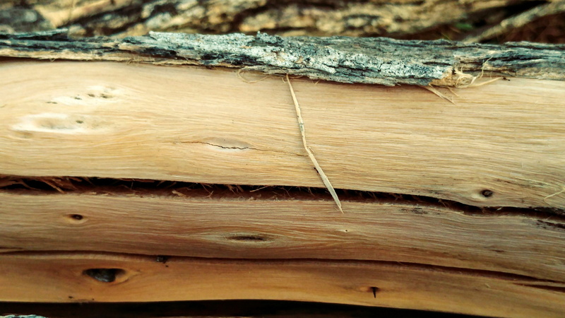 plant bark, log, tree trunk, tree, trunk, dry, textures, focus on foreground, textured, 4K, full frame, cracked, parched, brown, rough, wood - material