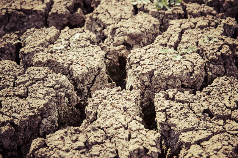 texture, environment, food, arid, mud, fissure, cracked, nature, sunbaked, arid climate, earth, dirt, barren, dry, abstract, full frame, no people, brown