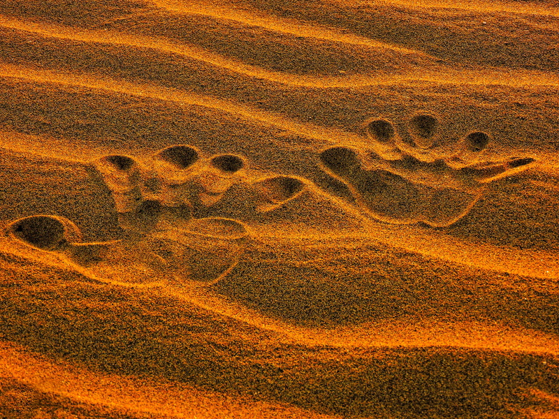 abstract, arid climate, terrain, no people, texture, color, parched, surface, climate, land, sand, full frame, backgrounds, nature, print, heat, wasteland