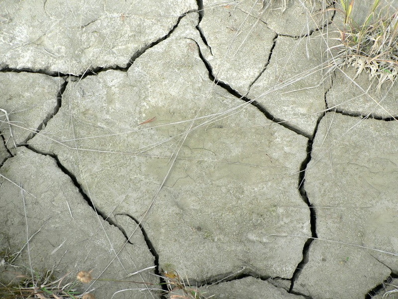 climate, arid climate, parching, no people, natural pattern, day, cracks, pattern, cracked, breaking, damaged, textured, scenics - nature, dry, earth, white