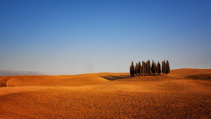 arable land, Italy, arable, photo, 1080P, desert, land, Tuscany, trees