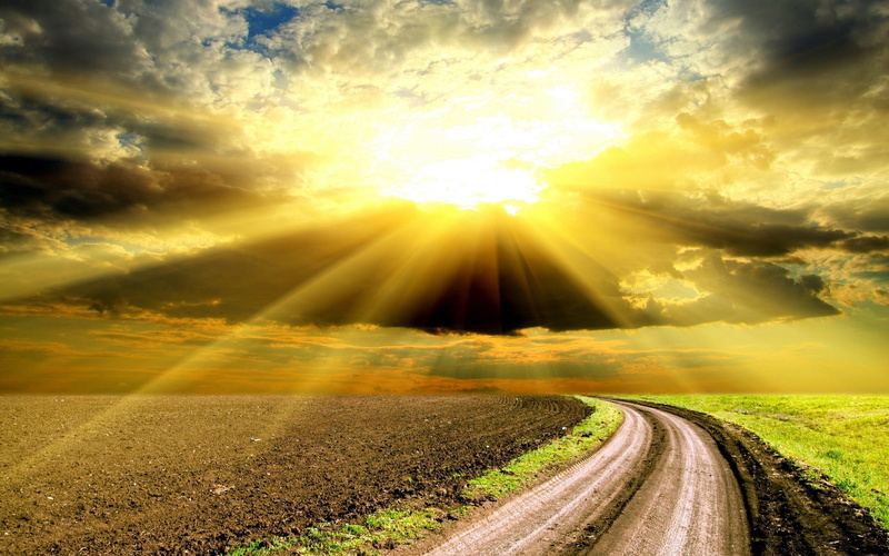 sunrise - Dawn, street, mountain, journey, transportation, color Image, nature, morning, beauty In Nature, forest, yellow, asphalt, dusk, sunset, day, summer