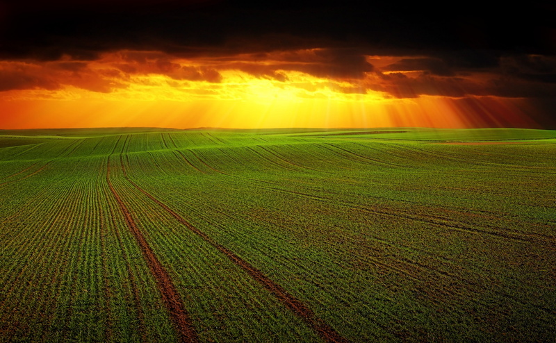 Dark, growth, cloud - sky, raincloud, green color, farm, beauty in nature, Photography, rural scene, field, land, 4K, Landscape, scenics - nature, CrepuscularRays