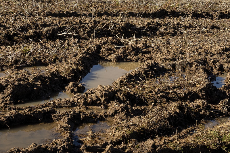 muddy, growth, land, day, arable, tranquility, nature, river, beauty in nature, scenics - nature, plant, arable land, reflection, outdoors, high angle view