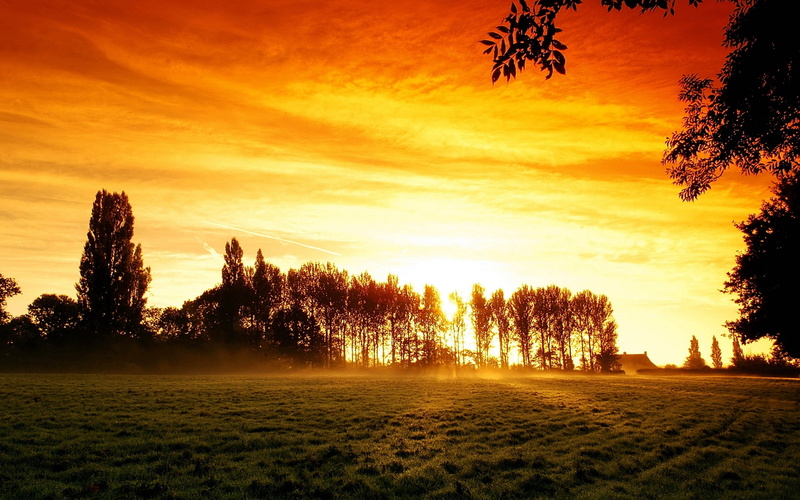summer, yellow, autumn, dawn, nature, light - Natural Phenomenon, sun, non-Urban Scene, leafed, light, backgrounds, glow, field, morning, cloud - Sky, red