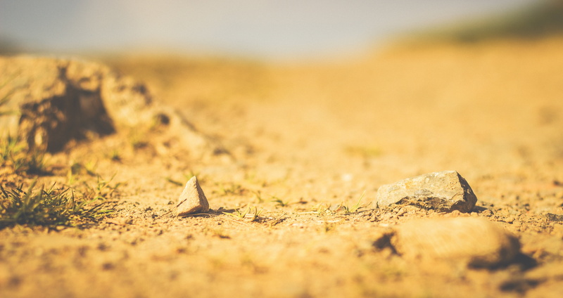 outdoors, drought, nature, food and drink, day, sand, 5K, rocks, no people, desert, close-up, land, one animal, animals in the wild, sandy, surface level