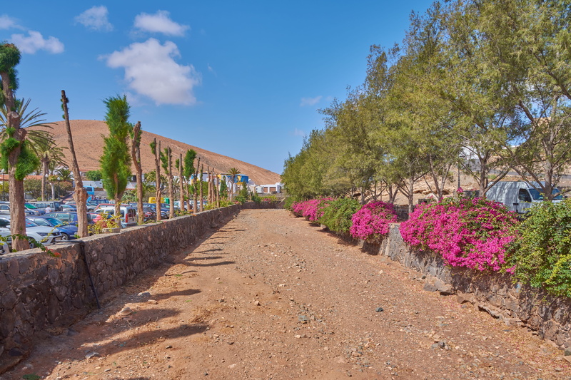 day, direction, plant, diminishing perspective, drought, dry, ground, footpath, dehydrated, architecture, the way forward, summer, flowering plant, building exterior