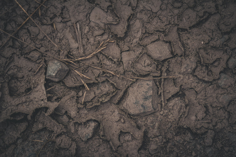 brown, ground, pattern, full frame, dry, forest floor, dirt, high angle view, cracks, drought, basic earth, climate, land, leaf, natural flooring, outdoors