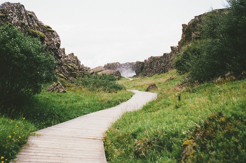 plant, outdoors, beauty in nature, grass, tree, scandinavia, tectonic plates, valley, bushes, thingvellir, the way forward, geology, natural, no people