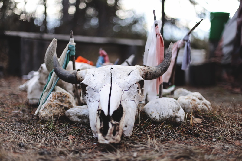bone, skull, outdoors, animal, flag, animal head, old, animal themes, one animal, horn, ritual, fall, bleached, antler, buffalo, animal skull, stone, broken