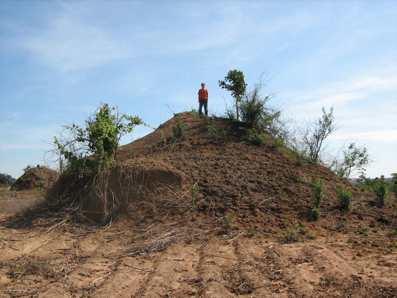 giant ant hill, men, non-urban scene, rock - object, outdoors, lifestyles, cloud - sky, land, rock, day, Ant Hill, scenics - nature, adult, nature, standing