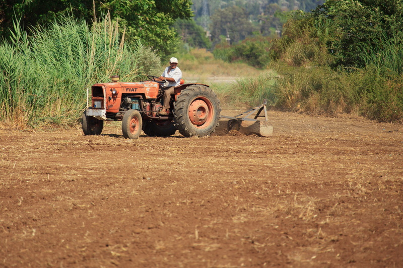 rural, outdoors, riding, machine, work, tree, soil, rural scene, tractor, land vehicle, machinery, Cultivation, land, nature, men, landscape, farm, motor vehicle
