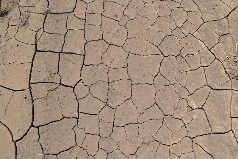 natural pattern, backgrounds, brown, extreme terrain, full frame, texture, dirt, drought, pattern, scenics - nature, crack, desert, arid climate, soil