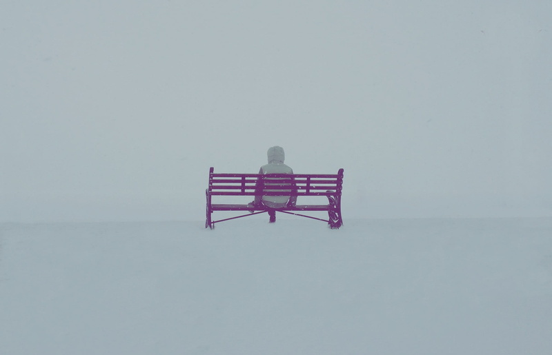 sitting, purple, snow, metal, bench, copy space, absence, people, sky, 1080P, outdoors, nature, seat, day, white color, winter, wood - material, built structure