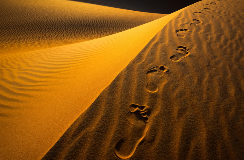 beach, no people, tranquil scene, backgrounds, land, footprint, landscape, environment, orange color, pattern, desert, climate, arid climate, tranquility