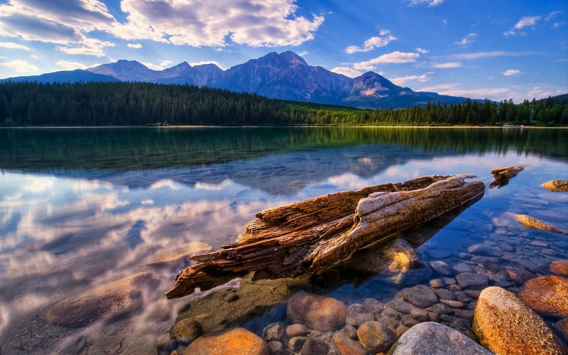 Mountains, Clouds, Forest, clear, Lake, Driftwood, 1080P, Stones
