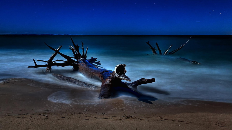 starry, driftwood, night, nature and landscapes, beached, 1080P, beach, stars