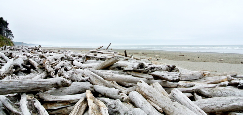 beach, sky, beauty in nature, horizon, horizon over water, sand, scenics - nature, sea, 4K, land, nature, tranquil scene, ocean, water, solid, kalaloch