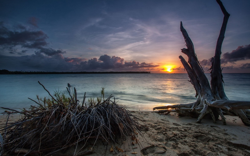 horizon Over Water, coastline, 1080P, plant, seascape, scenics - nature, cloudscape, land, driftwood, sea, island, relaxation, vacations, brown, thailand