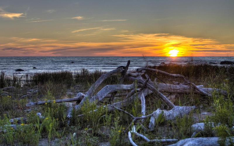 3d and abstract, rocks, driftwood, sunset, point, flowers, 2K, beach, lake, clouds, macgregor
