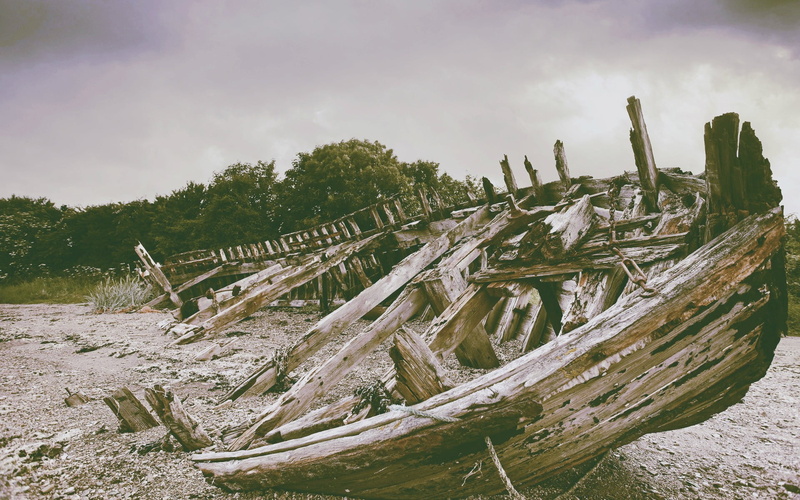 beauty in nature, tree, wood - material, non-urban scene, day, water, plant, nature, abandoned, tranquility, sky, driftwood, sea, no people, outdoors, 1080P