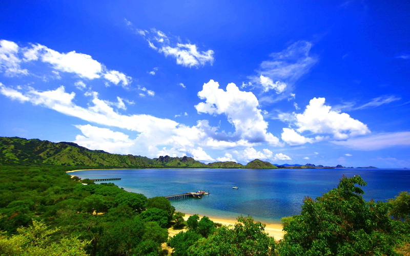island, brown, landscape, dock, nature, pier, wooden, 1920x1200, forest, coast, indonesia, 1080P