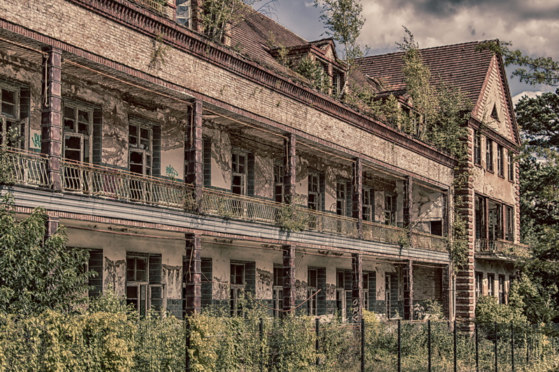 outdoors, architecture, house, growth, tree, nature, plant, abandoned, ruined, lapsed, wild, building, beelitz, myth, window, deterioration, low angle view