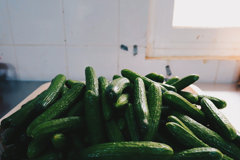 large group of objects, cucumber, harvest, grey, table, wellbeing, green, plant, raw food, agriculture, lot, container, green color, fresh, food, freshness
