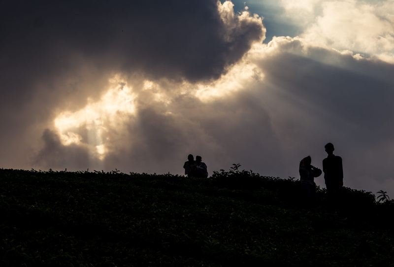 tranquility, sky, fujifilm, ciwidey, nature, people, cloud - sky, bandung, standing, outdoors, real people, men, togetherness, women, forest, land, beauty in nature