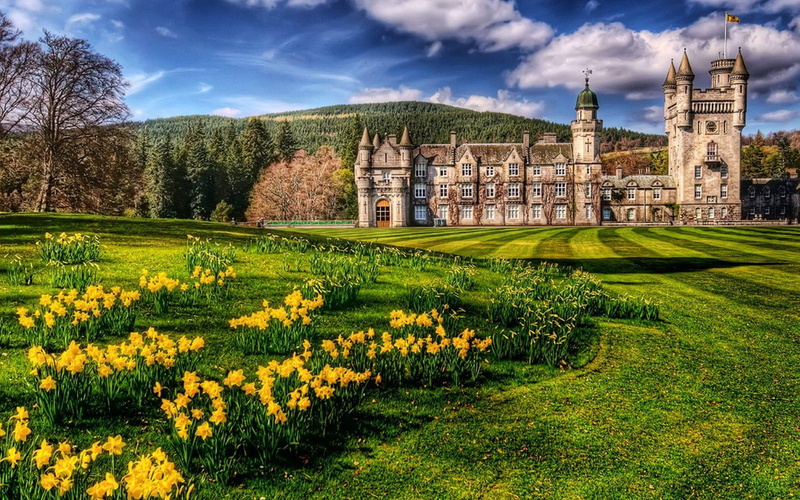 forest, nature and landscapes, 1080P, hdr, clouds, castle, balmoral, flowers, grass