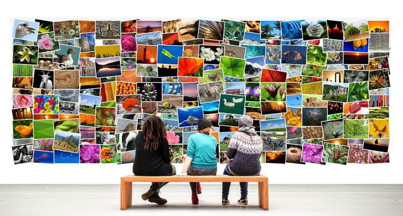 visitors, indoors, huge, colorful, rear view, choice, exhibition, girls, togetherness, person, multi colored, images collection, retail, variation, bench