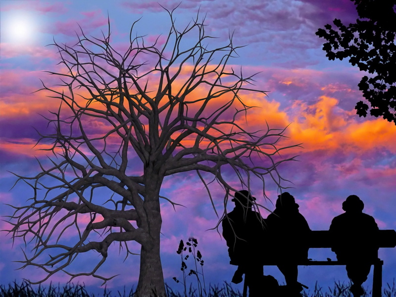 branch, person, break, sky, sitting, real people, tree, plant, men, sit, standing, adult, group of people, bank, silhouette, three, people, sunset, purple