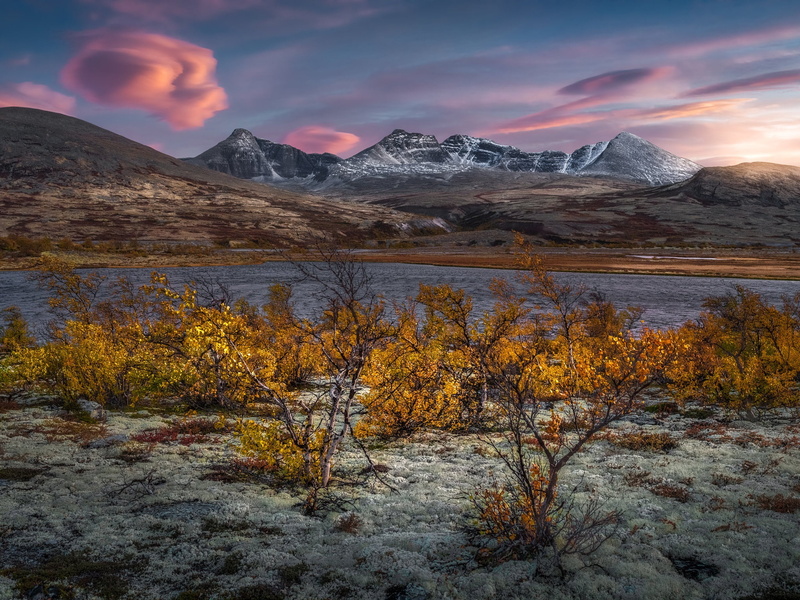autumn, the bushes, 1080P, lake, Mountain Rondane, Rondane National Park, Rondane Mountains, Norway, mountains