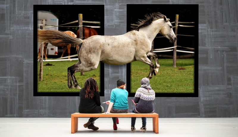 real people, full length, exhibition, mammal, animal wildlife, gallery, people, livestock, galloping, men, childhood, day, child, rear view, horse, art