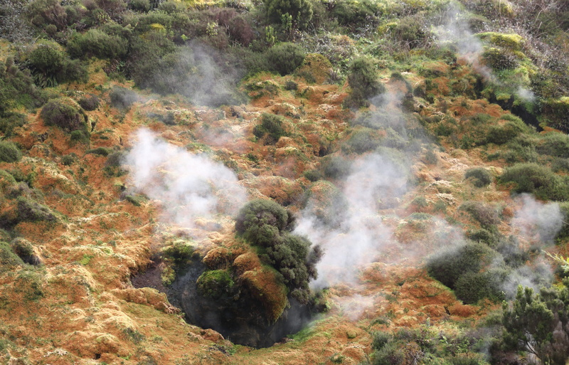 day, sulfur, island, tree, smoke, plant, 5K, landscape, outdoors, high angle view, tranquility, tranquil scene, azores, park, escape, remote, no people